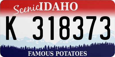 ID license plate K318373