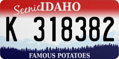 ID license plate K318382