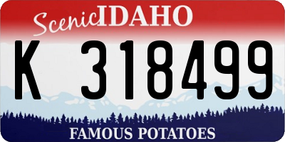 ID license plate K318499