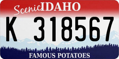 ID license plate K318567