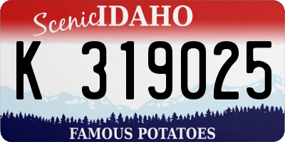 ID license plate K319025