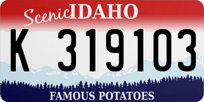 ID license plate K319103