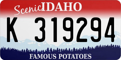 ID license plate K319294