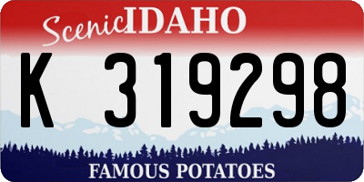 ID license plate K319298