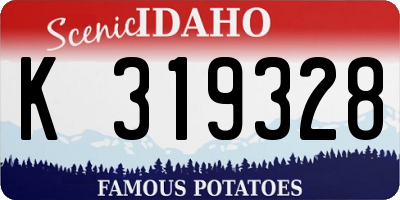 ID license plate K319328