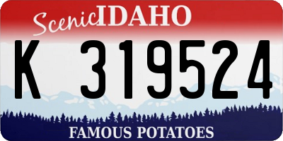 ID license plate K319524