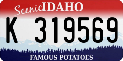 ID license plate K319569