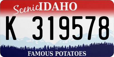ID license plate K319578