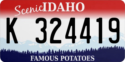 ID license plate K324419