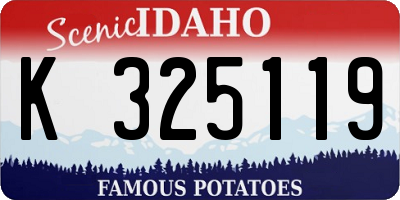 ID license plate K325119