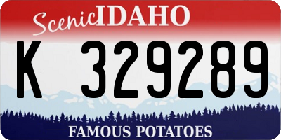 ID license plate K329289