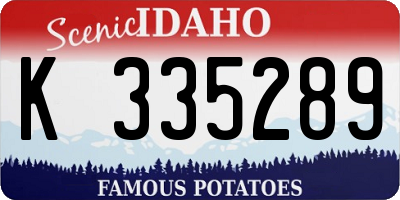 ID license plate K335289