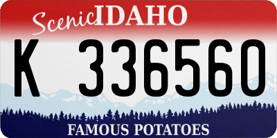 ID license plate K336560