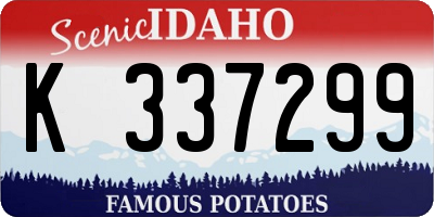 ID license plate K337299