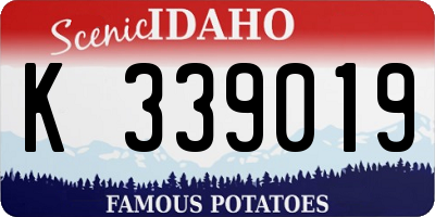 ID license plate K339019