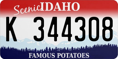 ID license plate K344308
