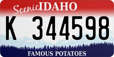 ID license plate K344598