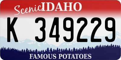 ID license plate K349229