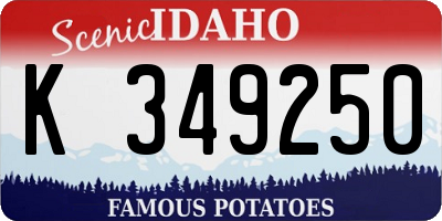 ID license plate K349250