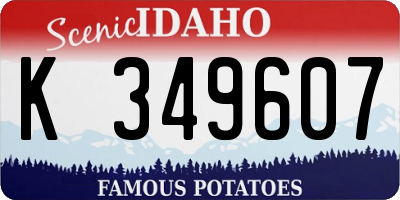 ID license plate K349607
