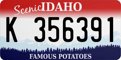ID license plate K356391
