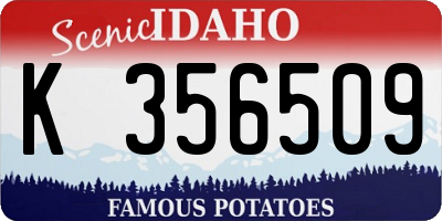 ID license plate K356509