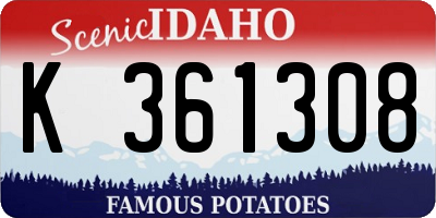 ID license plate K361308