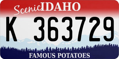 ID license plate K363729