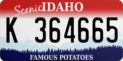 ID license plate K364665