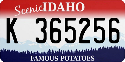 ID license plate K365256