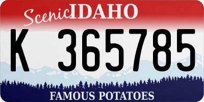 ID license plate K365785