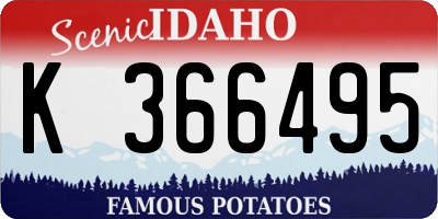 ID license plate K366495