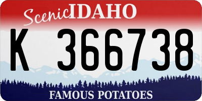 ID license plate K366738