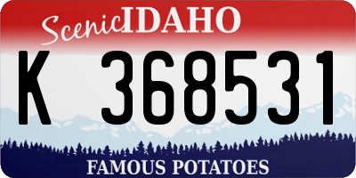ID license plate K368531