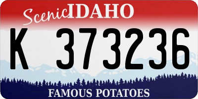 ID license plate K373236