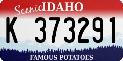 ID license plate K373291