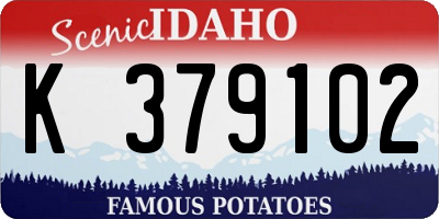 ID license plate K379102