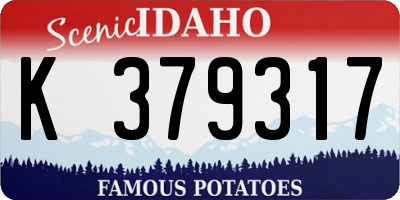 ID license plate K379317