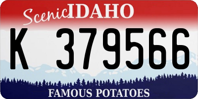 ID license plate K379566