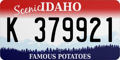 ID license plate K379921