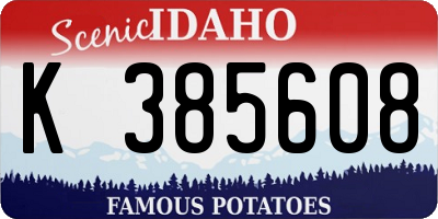 ID license plate K385608