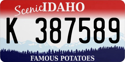 ID license plate K387589