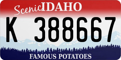 ID license plate K388667