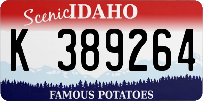 ID license plate K389264