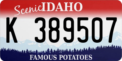 ID license plate K389507