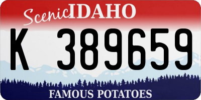 ID license plate K389659