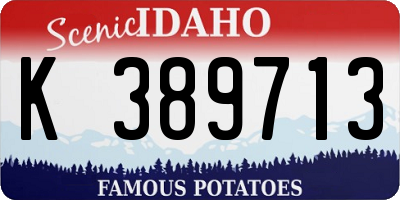 ID license plate K389713
