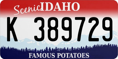 ID license plate K389729