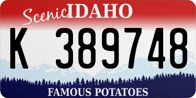 ID license plate K389748