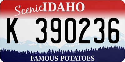 ID license plate K390236